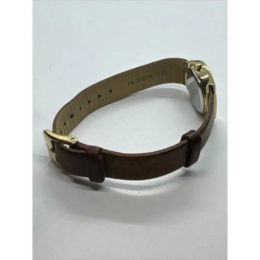 Skagen Asta SKW2239 Women's Brown Leather Analog Dial Quartz Wrist Watch JNA923